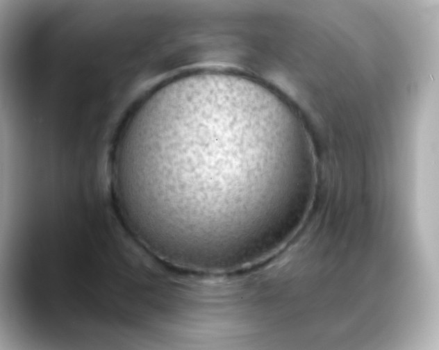 X0000088411408200706051145