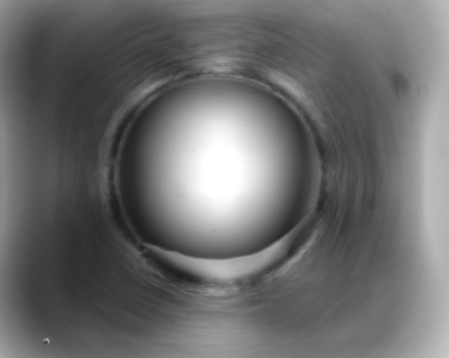 X0000088411410200706051145