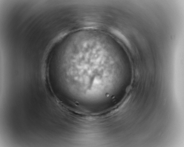 X0000088411411200706051145