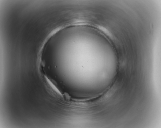 X0000088411413200706051145