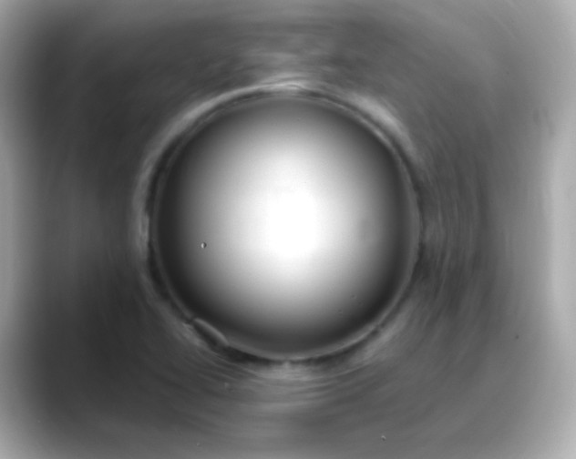 X0000088411414200706051145