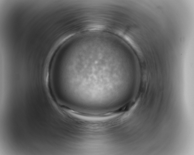 X0000088411418200706051145