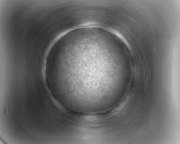 X0000088411421200706051145