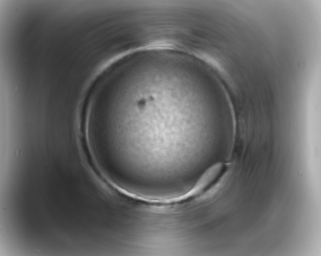 X0000088411422200706051145