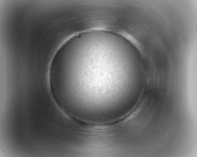 X0000088411423200706051145