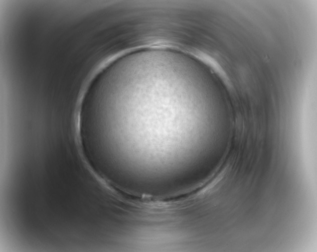 X0000088411424200706051145