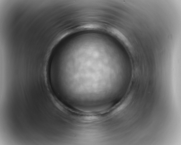 X0000088411425200706051145
