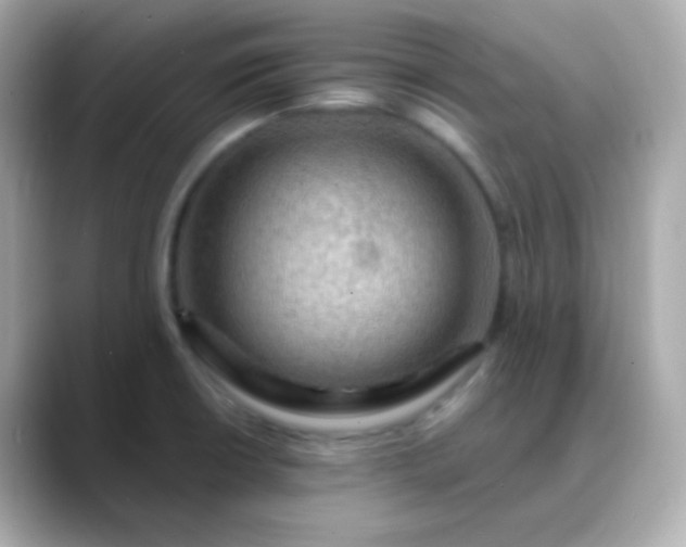 X0000088411426200706051145