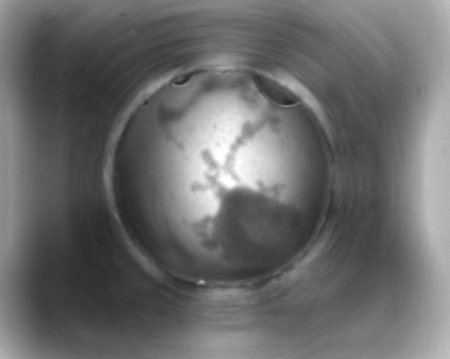 X0000088411429200706051146