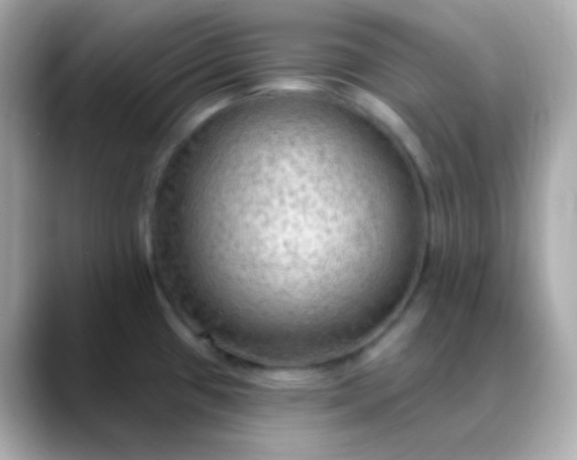 X0000088411433200706051146