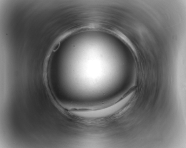 X0000088411437200706051146