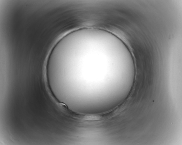 X0000088411440200706051146