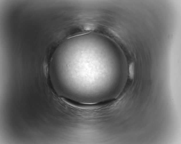 X0000088411443200706051145