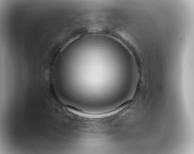 X0000088411445200706051145