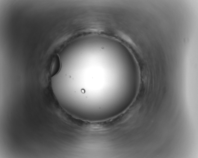 X0000088411448200706051145