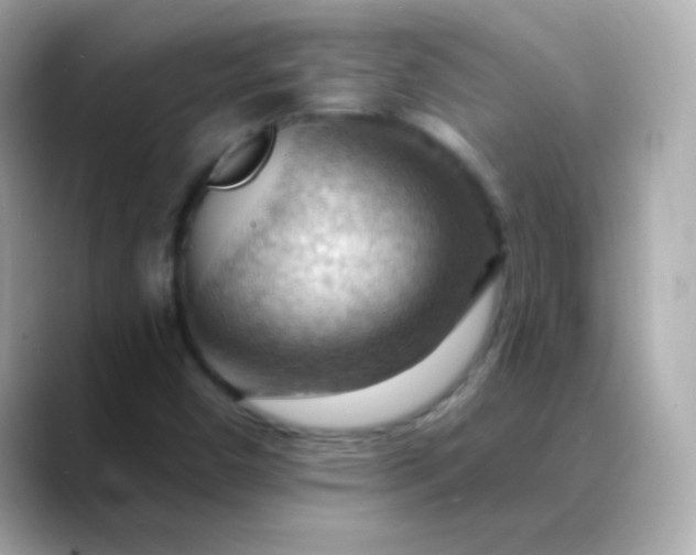 X0000088411450200706051145