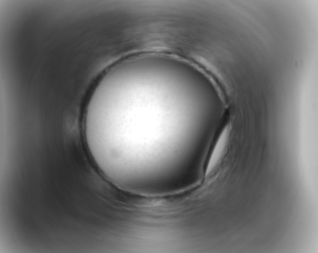 X0000088411452200706051145