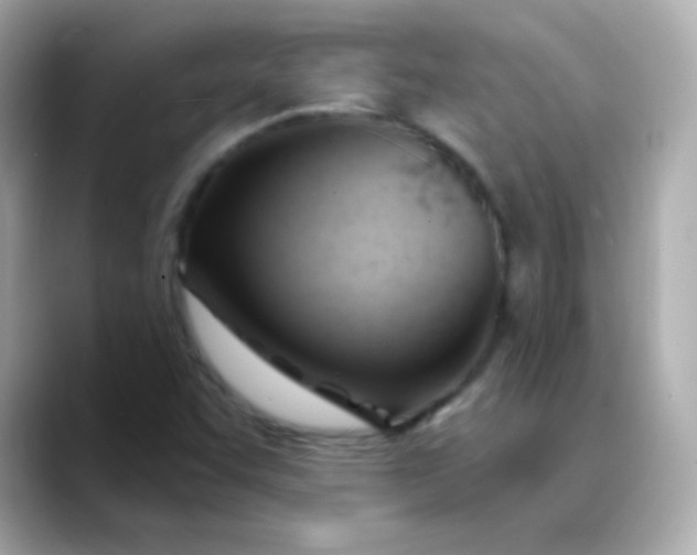 X0000088411455200706051145