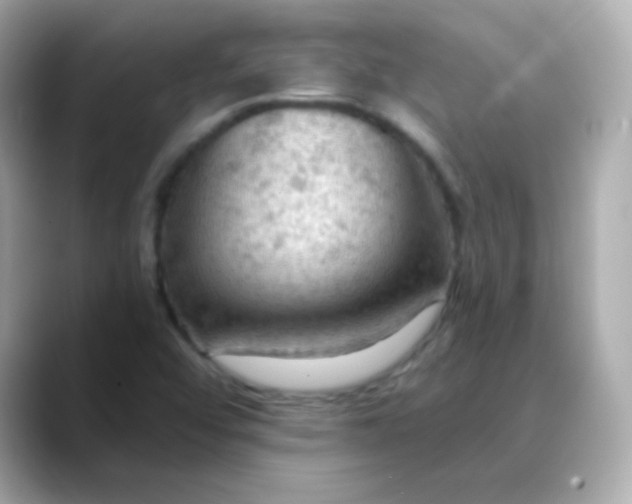 X0000088411456200706051145