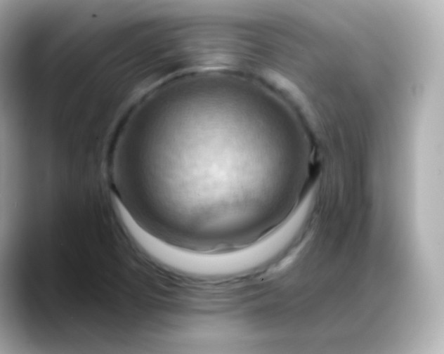 X0000088411457200706051145