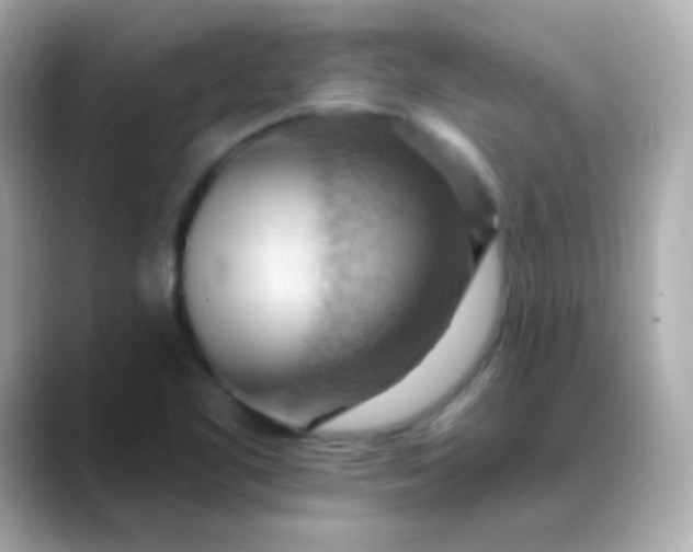 X0000088411461200706051145