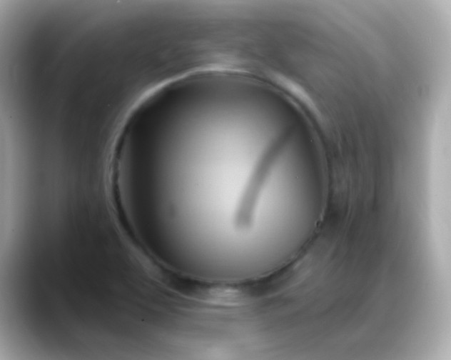 X0000088411463200706051145