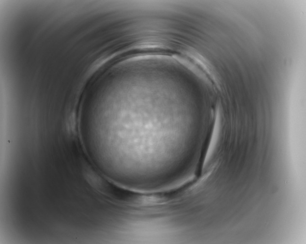 X0000088411465200706051145