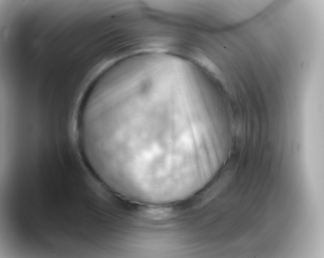 X0000088411466200706051145
