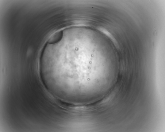 X0000088411467200706051145