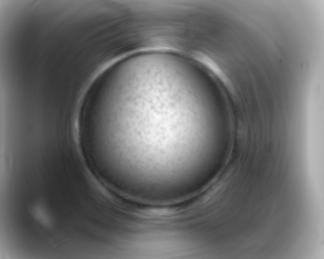 X0000088411468200706051145