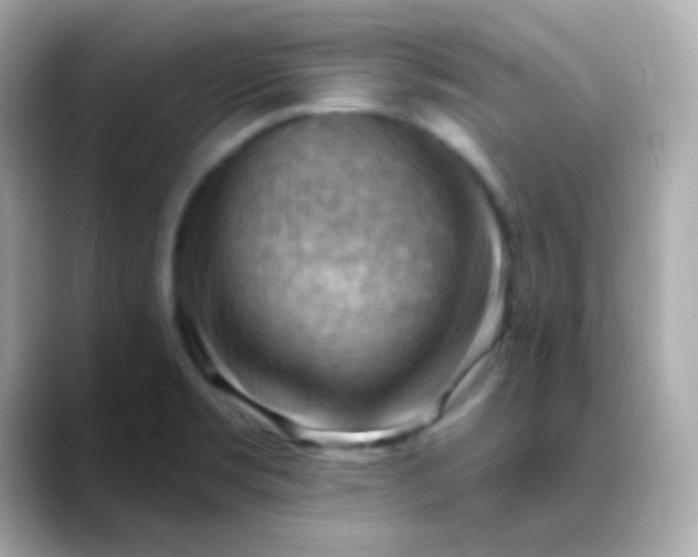 X0000088411469200706051145