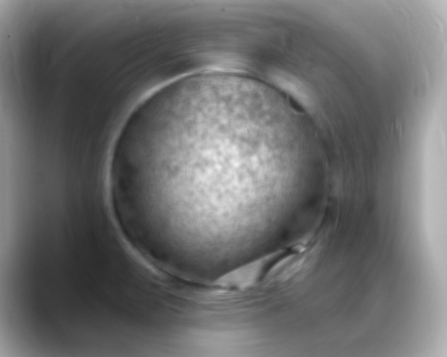 X0000088411471200706051145