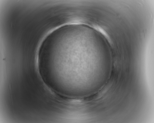 X0000088411472200706051145