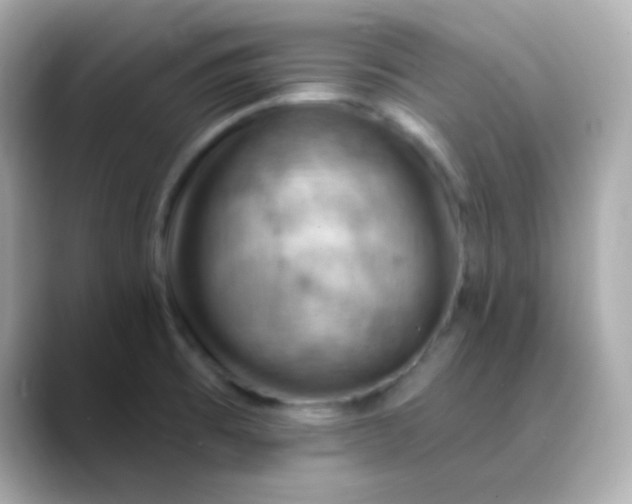 X0000088411473200706051145