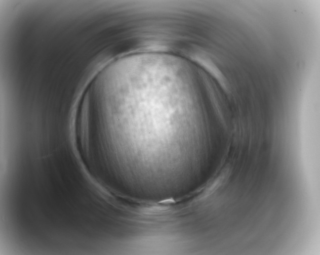 X0000088411475200706051145