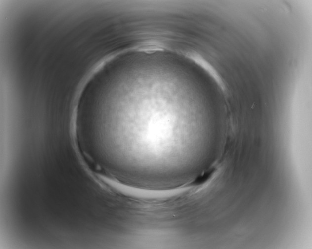 X0000088411477200706051145