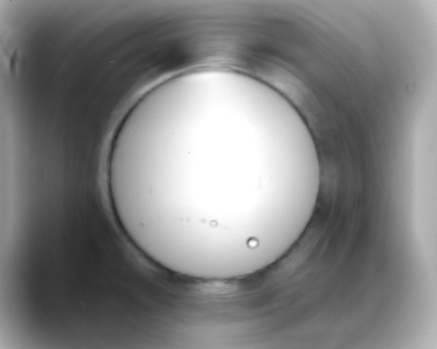 X0000088411478200706051145