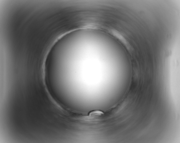X0000088411479200706051145