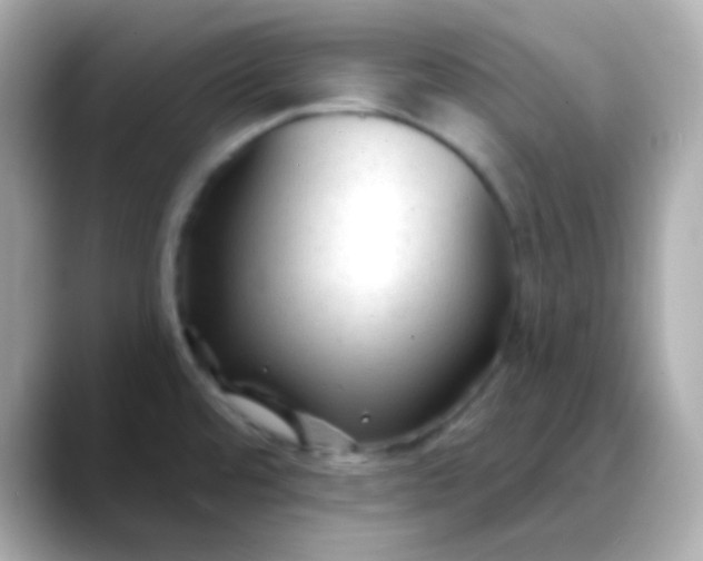 X0000088411480200706051145