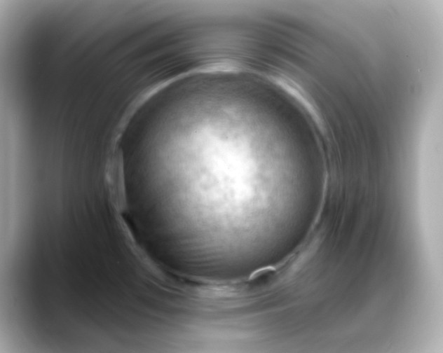 X0000088411481200706051145