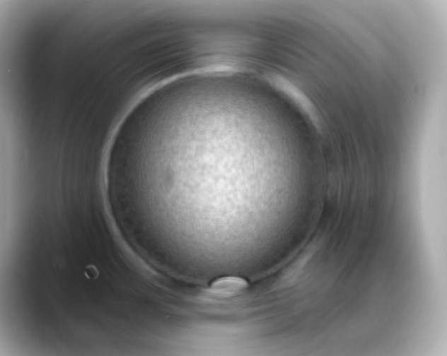 X0000088411483200706051145