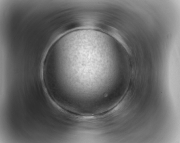 X0000088411484200706051145