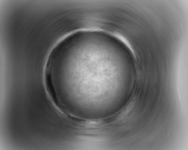 X0000088411485200706051145