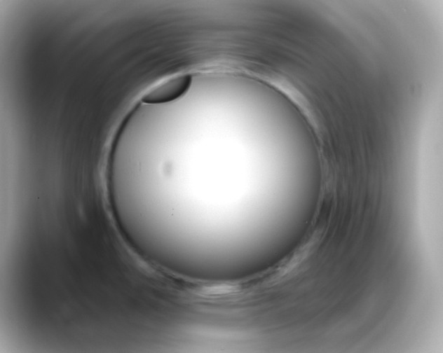 X0000088411486200706051145