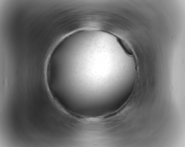 X0000088411488200706051145