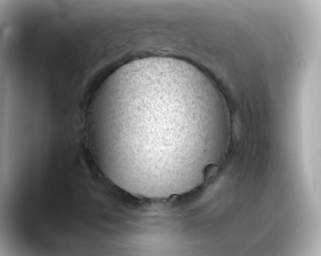 X0000088411494200706051144