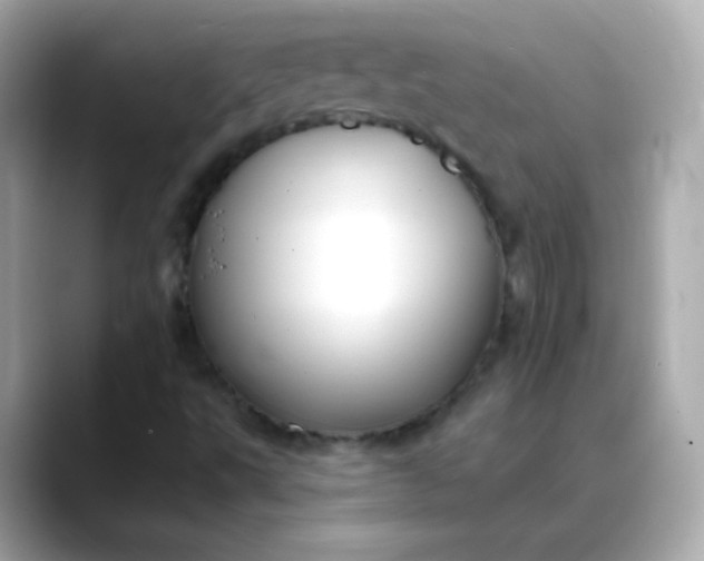 X0000088411495200706051144