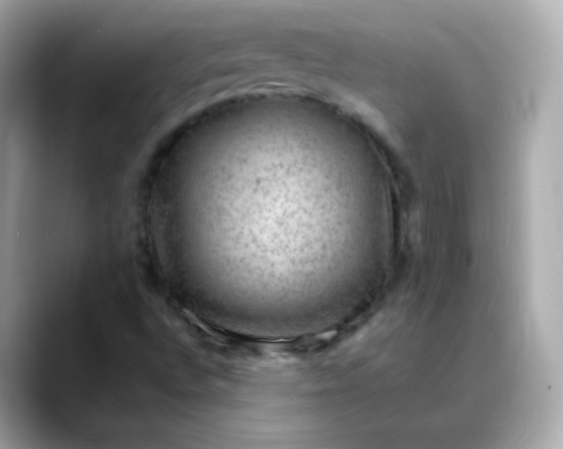 X0000088411496200706051144