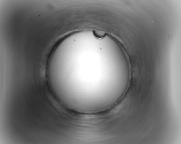 X0000088411499200706051144