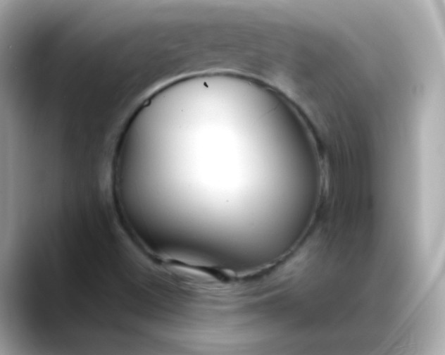 X0000088411500200706051144